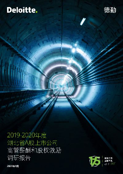 2019-2020年度湖北省A股上市公司高管薪酬和股权激励调研报告