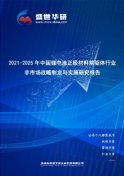 2021-2025年中国锂电池正极材料前驱体行业非市场战略制定与实施研究报告
