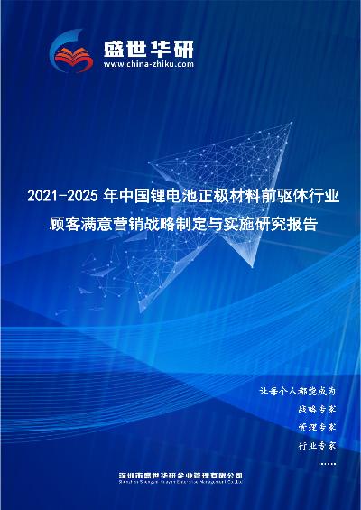 2021-2025年中国锂电池正极材料前驱体行业顾客满意营销战略制定与实施研究报告