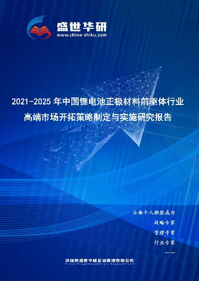 2021-2025年中国锂电池正极材料前驱体行业高端市场开拓策略制定与实施研究报告